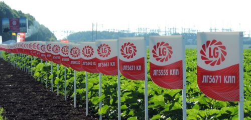 Rating, description and reviews of the manufacturer agrofirm