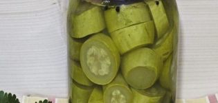 TOP 11 best recipes for making marinated zucchini for the winter