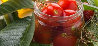 Συνταγές για τορσί ντομάτας με κανέλα για το χειμώνα στο σπίτι
