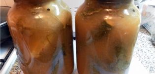 Receitas de pepino enlatado em suco de maçã para o inverno
