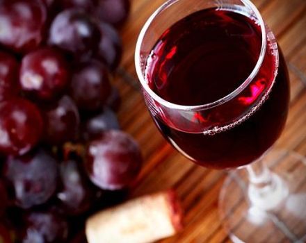 TOP 7 Rezepte für die Herstellung von Rotwein zu Hause