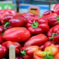 65 der besten und beliebtesten Paprika im Jahr 2020 mit einer Beschreibung