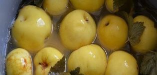 Công thức làm táo ngâm cho mùa đông tại nhà trong lọ