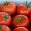 Опис рајчице Аппле Спас, његове карактеристике, предности и недостаци