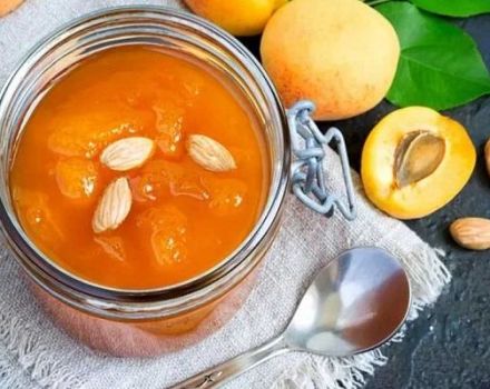 6 краљевских рецепата за пекмез од марелице са зими