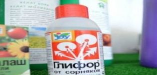 Инструкции за употреба на Glyphor срещу плевели, описание на хербицида и нормите на консумация