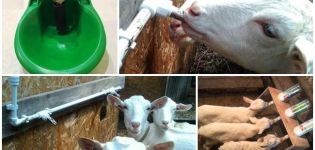 Typer och krav för drinkar för getter, instruktioner för att göra egna händer