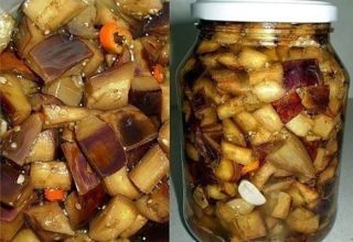 Das Rezept zum Kochen von Auberginen wie Pilzen für den Winter lecken Sie Schritt für Schritt Ihre Finger