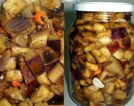 وصفة طبخ الباذنجان مثل الفطر لفصل الشتاء تلعق أصابعك خطوة بخطوة
