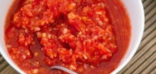 Rezepte für die Zubereitung von Snacks Vorspeisen für den Winter