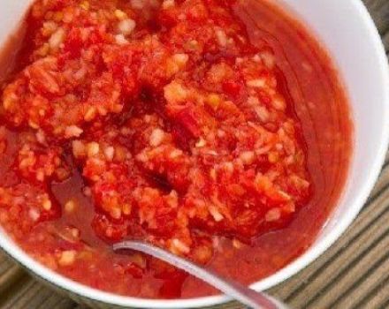 Recipes for preparing snacks Appetizers for the winter