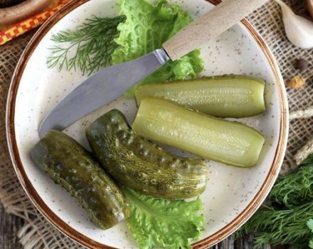 Jak suszyć ogórki kiszone, przepis krok po kroku
