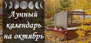 Calendari de sembra lunar del jardiner i jardinera, taula d'obres per a l'octubre de 2020