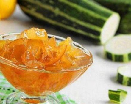 As 3 principais receitas de geléia de abobrinha com abacaxi em lata para o inverno