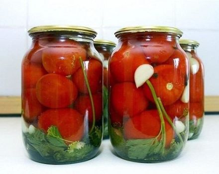 17 besten Rezepte für die Herstellung von eingelegten Tomaten für den Winter