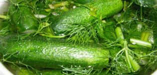 Receitas instantâneas de pepinos crocantes ligeiramente salgados em uma panela quente e fria com alho e especiarias