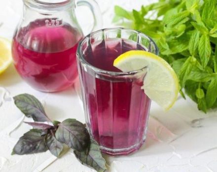 7 step-by-step recipes for making basil compote for the winter