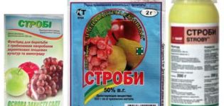 Инструкции за употреба на фунгицида Strobi за третиране на грозде и период на изчакване