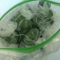 Regler för att förbereda ruccola för vintern hemma och tips för förvaring av gröna i frysen och kylen