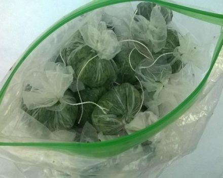 Evde kışın roka hazırlama kuralları ve yeşillikleri dondurucuda ve buzdolabında saklamak için ipuçları