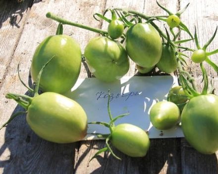 Descrição da variedade de tomate Trump, características de cultivo e cuidado