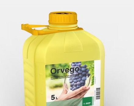 Οδηγίες για τη χρήση μυκητοκτόνου Orvego, περιγραφή του προϊόντος και ανάλογα