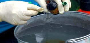 Top dressing, traitement et pulvérisation des concombres avec du vert brillant et de l'iode