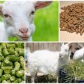 Zusammensetzung des Mischfutters für Ziegen und Regeln für das Kochen mit eigenen Händen, Lagerung