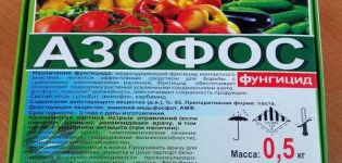 Οδηγίες για τη χρήση του μυκητοκτόνου Azophos και πώς να το αραιώσετε σωστά