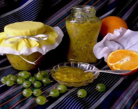 Ein einfaches Rezept für Stachelbeermarmelade mit Walnüssen für den Winter