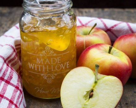 9 besten Schritt-für-Schritt-Rezepte für Apfelgelee mit und ohne Gelatine für den Winter