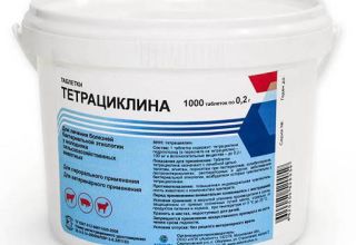 Top 10 Tetracyclinpräparate für Tiere und Gebrauchsanweisung