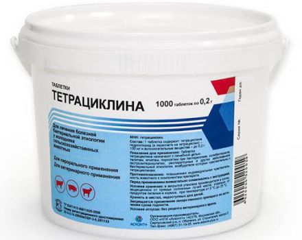 Top 10 Tetracyclinpräparate für Tiere und Gebrauchsanweisung