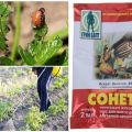 Instruktioner för användning av botemedel för Colorado potatisbagge Sonnet