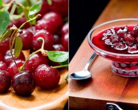 Schritt-für-Schritt-Rezept für die Herstellung von Kirschen in Gelee mit Gelatine für den Winter