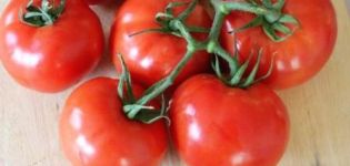Characteristics and description of the Blagovest tomato variety, its yield