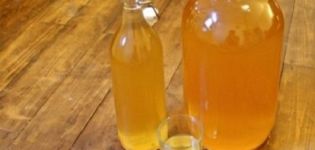 10 enkla steg-för-steg-recept för vin från ranetki och hur man gör hemma