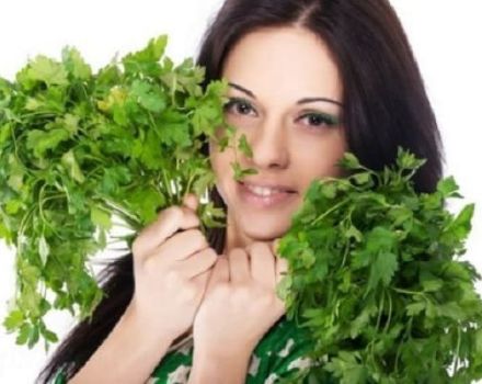¿Cuántas semillas de perejil debe comer para desencadenar su período?