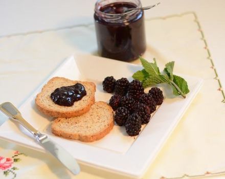 2 melhores receitas de purê de amoras com açúcar para o inverno sem cozinhar