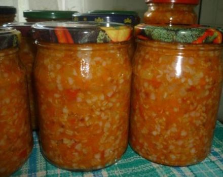 5 best step-by-step recipes for the winter from buckwheat with vegetables