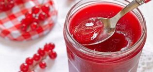 10 einfache Schritt-für-Schritt-Rezepte für Johannisbeergelee für den Winter