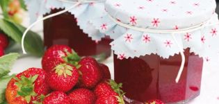 22 Best Step-by-Step Strawberry Jam Recipes for the Winter