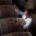 Warum hausgemachter Wein bitter schmecken kann und wie man ihn am besten repariert