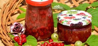 Step-by-step recipe for making currant and gooseberry jam for the winter