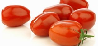 Produktywność, cechy i opis odmiany pomidora Red rooster