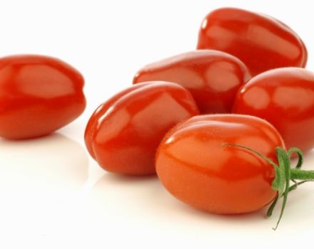 Produktivität, Eigenschaften und Beschreibung der Tomatensorte Red Rooster