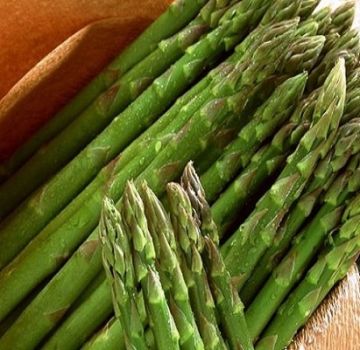 Was ist Spargel, seine Arten und wo er wächst, die Vorteile und Schäden