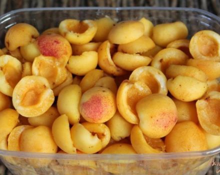 TOP 5 ricette su come congelare correttamente la ciliegia prugna per l'inverno nel congelatore