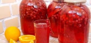 TOP 5 συνταγές για κομπόστα κόκκινων σταφίδων με πορτοκάλι για το χειμώνα