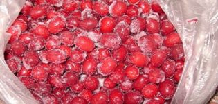Како замрзнути пас у хладњаку за зиму код куће и је ли могуће